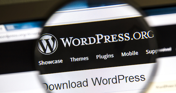Close-up of WordPress under magnifying glass